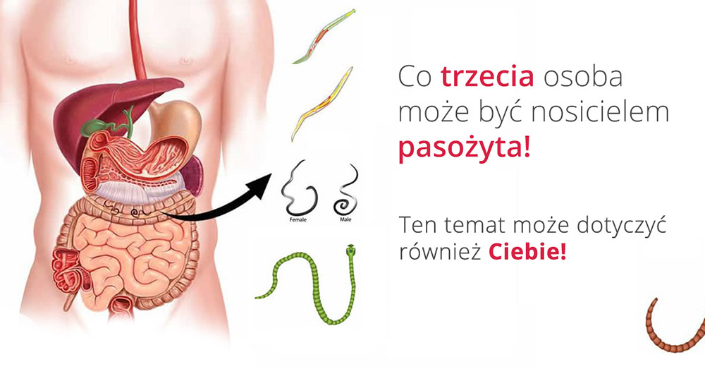 Stylowość w każdym szwie